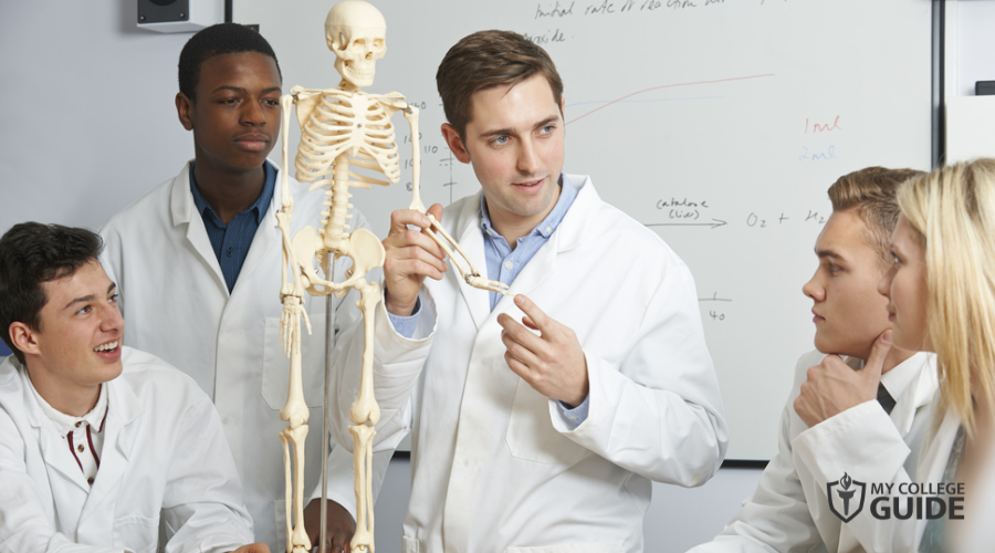 Biology class in high school as preparation for healthcare degree