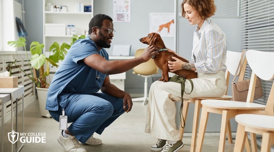 Vet checking a client's dog