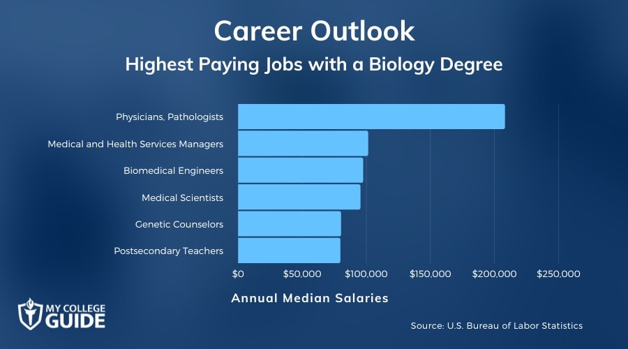 Highest Paying Jobs with a Biology Degree