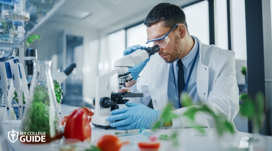 Food Scientist working in the lab