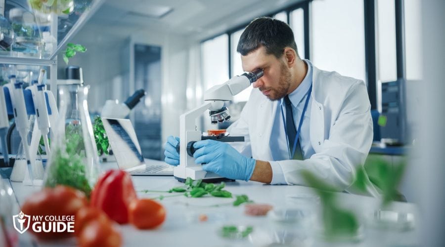 Food scientist working in the lab